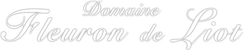 Domaine Fleuron de Liot logo